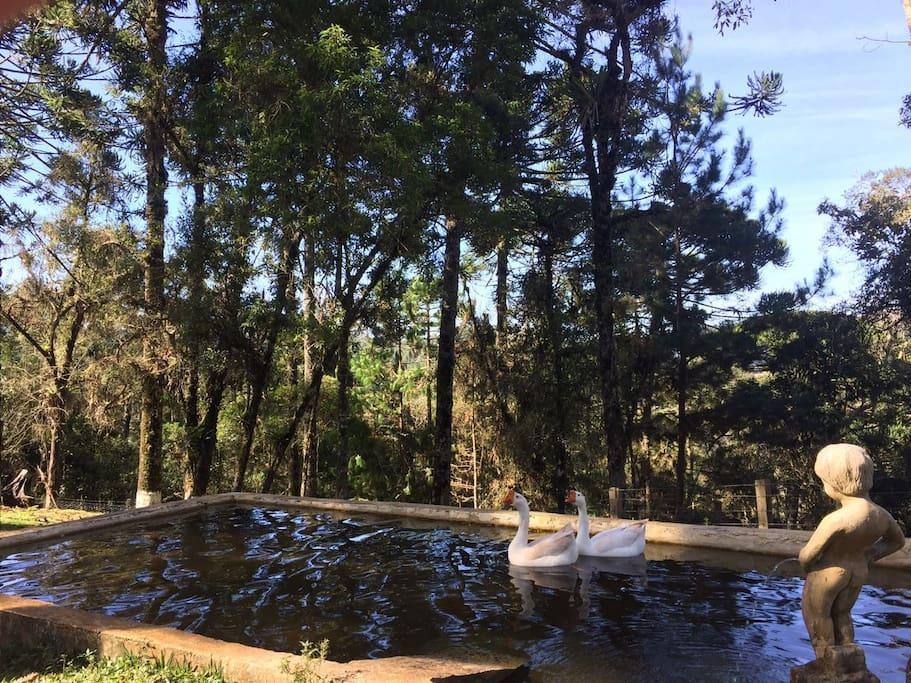 Cantinho Da Simone Campos do Jordão 外观 照片